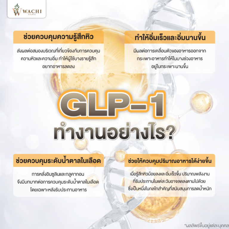 GLP-1 ทำงานอย่างไร